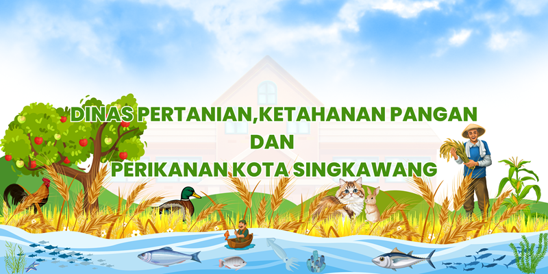 Banner DPKPP Kota Singkawang
