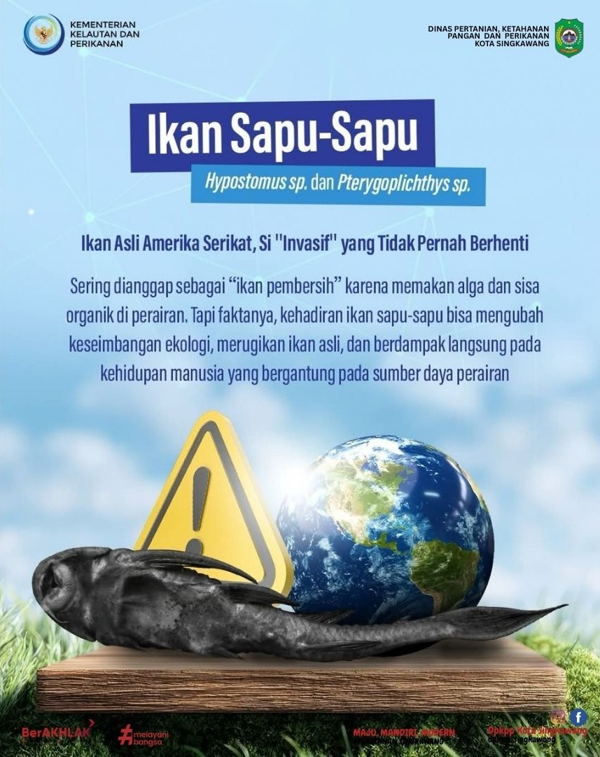 sering-dianggap-ikan-pembersih-ternyata-ikan-sapu-sapu-aslinya-adalah-villain-di-ekosistem-kita