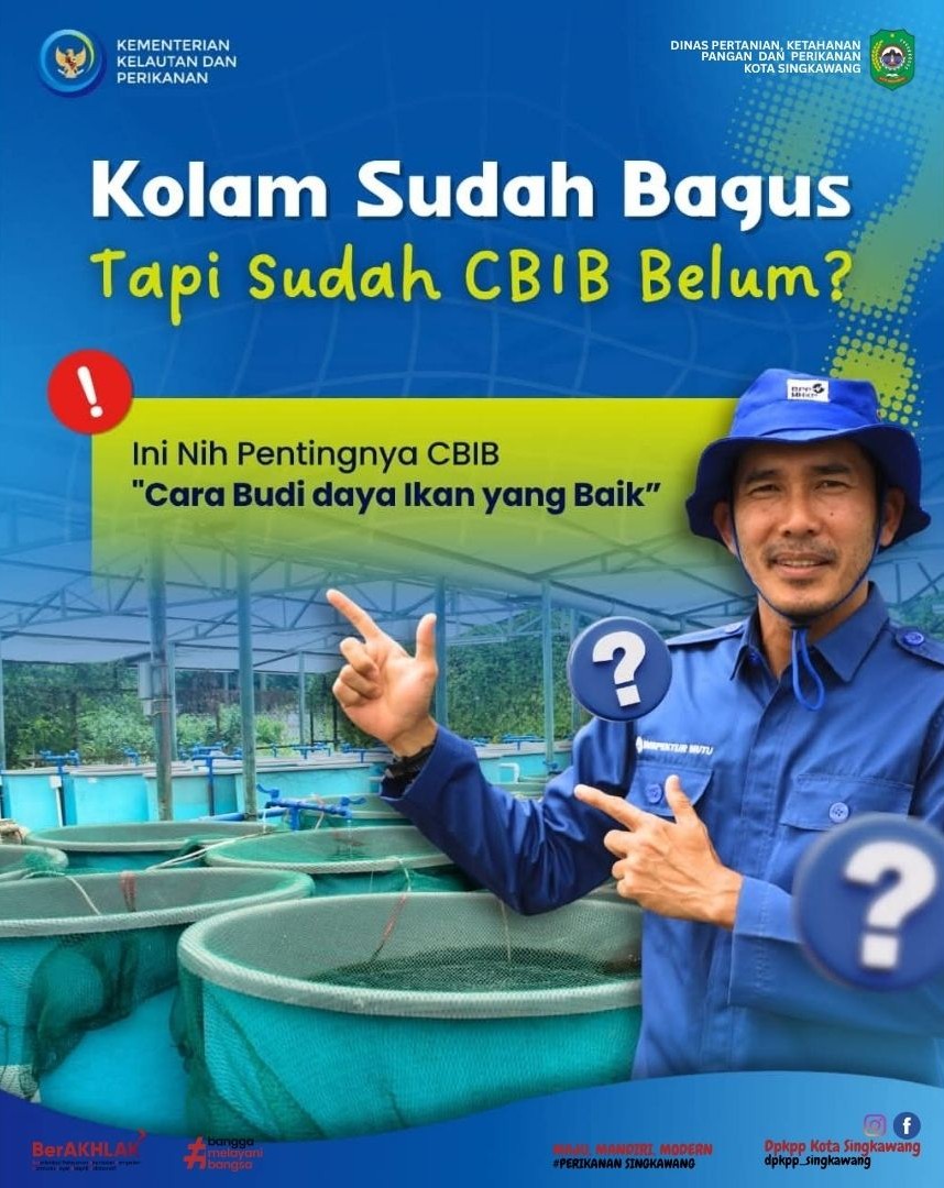 Kolam sudah oke, tapi sudah tersertifikasi CBIB belum?