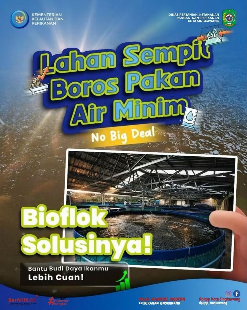 Sahabat Bahari, buat kamu yang mau budi daya ikan tapi terkendala lahan, air ataupun pakan, jangan khawatir, itu semua No Big Deal!