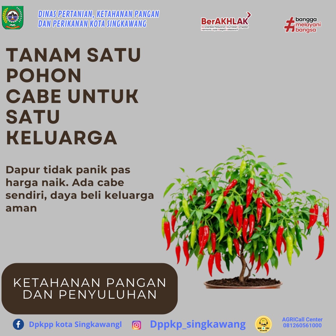 tanam satu pohon cabe,,untuk satu keluarga.