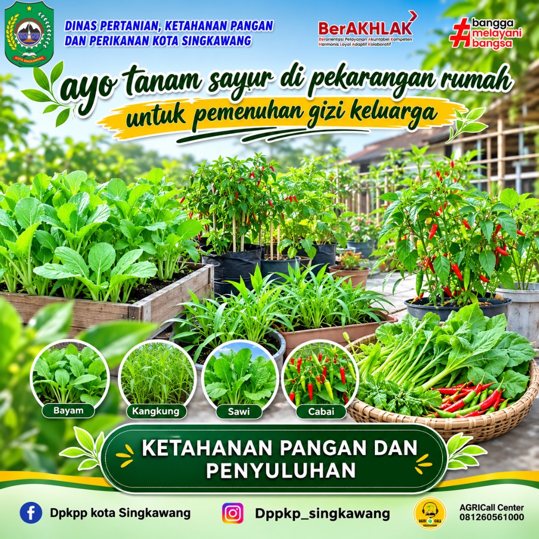 apakah kamu sudah menanam sayur di pekarangan hari ini...?