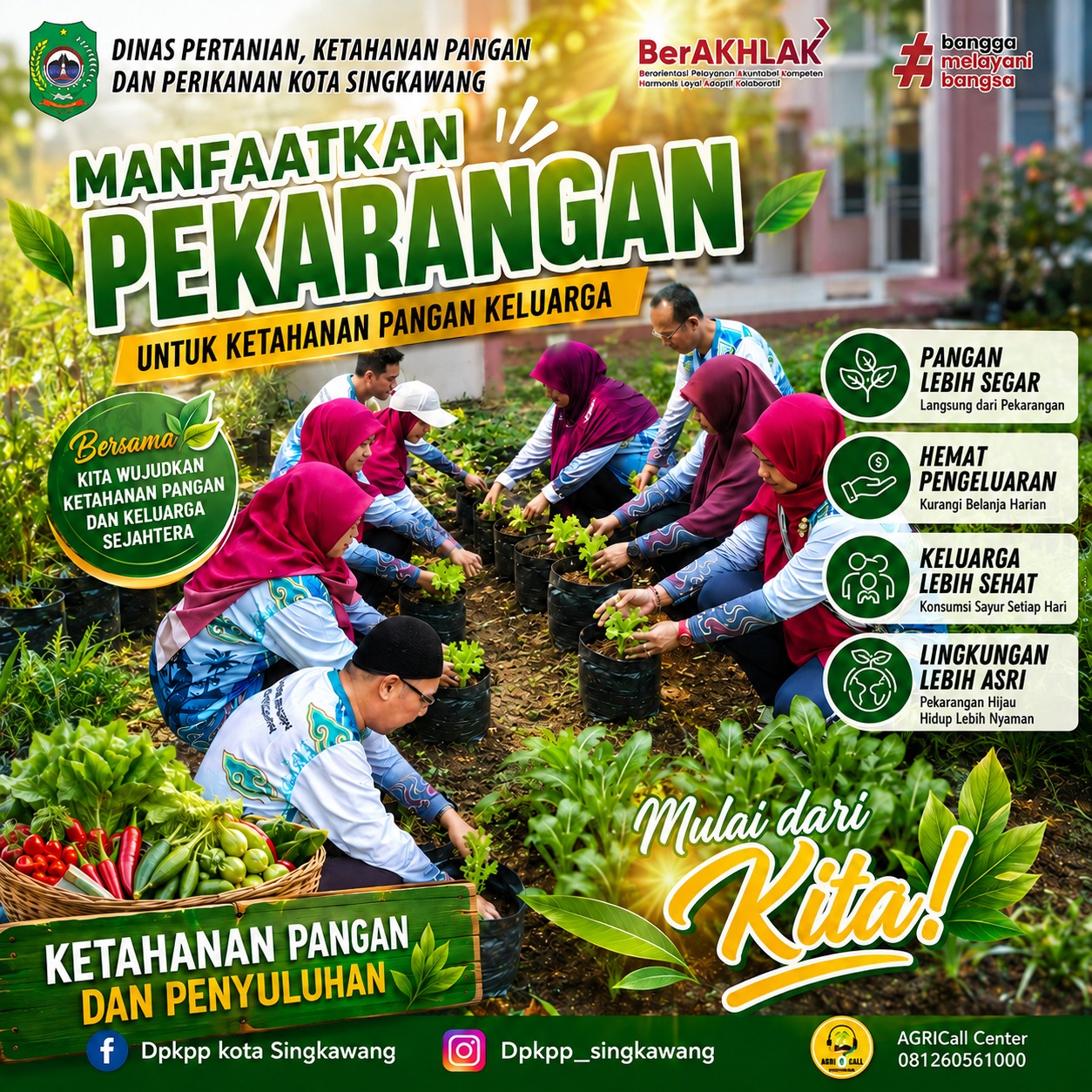 Apakah kamu sudah tanam sayur di pekarangan rumahmu....?